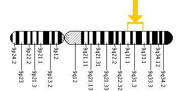 The FKTN gene is located on the long (q) arm of chromosome 9 between positions 31 and 33.