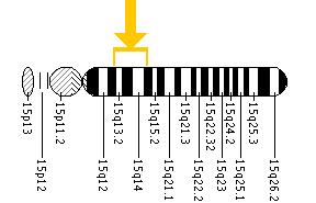 The SLC12A6 gene is located on the long (q) arm of chromosome 15 between positions 13 and 15.
