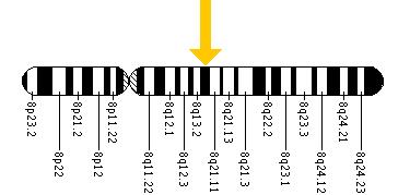 The EYA1 gene is located on the long (q) arm of chromosome 8 at position 13.3.