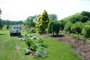 Provence removal of old planting