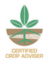 CCA Logo