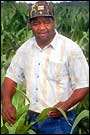 An African-American farmer stands in a field of corn