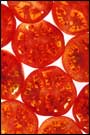 Slices of tomatoes are arrayed side by side