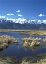 Montana wetland