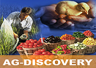 AgDiscovery Themeart