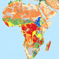 Soils global map. Paul Reich/USDA NRCS