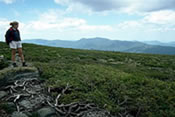 Photo: Hiker looks out over Alpine Gardens Research Natural Area