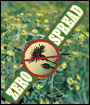 New Video on the Successes of the Gallatin/Big Sky Noxious Weed Committee 