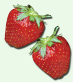 strawberries