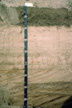 Photograph of a profile of the Yaggy soil series.