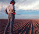 Farmer in a field of plowed dirt