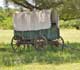 Covered wagon sitting in the shade under a tree. [Source:  IStock International, Inc.]