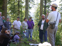 People listen to a talk at HJ Andrews Experimental Forest.