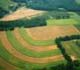 Aerial view of farmland