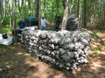 Shell bags filled with surf clam shells are assembled to serve as a substrate for larval oysters that will be spawned in a hatchery ( photo by Rhode Island  NRCS soil conservationist Justin Tuthill)