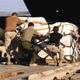 people unloading supplies from airplane