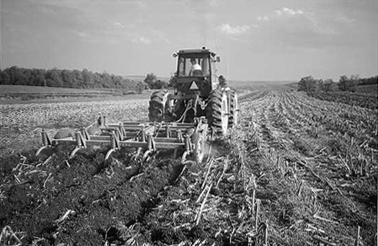 fig 15.2a  Chisel tillage: Shanks provide full-field soil loosening.