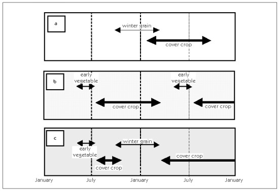 figure 10.2  timing cover crop growth for winter grain, early vegetable, and vegetable-grain systems