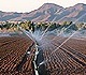 Irrigation in Arizona