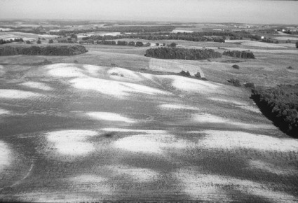 figure 6.4  effects of tillage erosion on soils