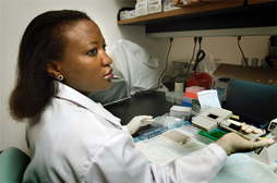Especialista de laboratorio de un CDC usa una prueba ELISA para detectar antígenos bacterianos.