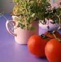 herbs and tomato