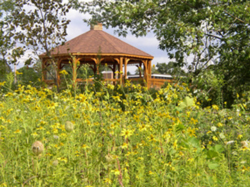 TCPA Southern Gateway Nature Park