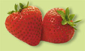 Fresas