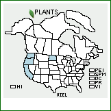 Distribution of Viburnum ellipticum Hook.. . 