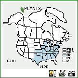 Distribution of Viburnum prunifolium L.. . Image Available. 