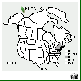 Distribution of Viburnum sieboldii Miq.. . Image Available. 