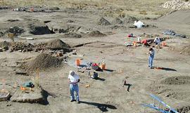 several field-crew members working at the site