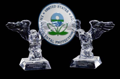 Two statues of crystal eagles