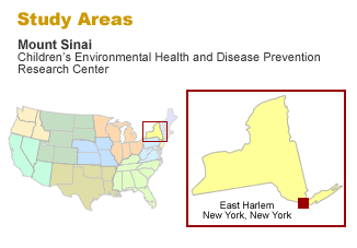 Mt. Sinai study areas - East Harlem, New York