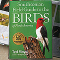 Smithsonian Field Guide to the Birds