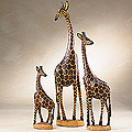 Majestic Giraffe Family