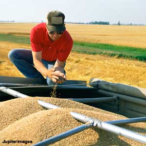 Photo: Farmer