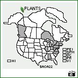 Distribution of Salix caprea L.. . Image Available. 