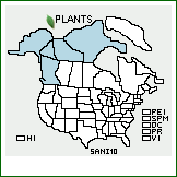 Distribution of Salix niphoclada Rydb.. . 