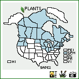 Distribution of Salix pedicellaris Pursh. . Image Available. 