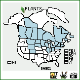 Distribution of Salix serissima (L.H. Bailey) Fernald. . Image Available. 