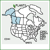 Distribution of Salix stolonifera Coville. . 