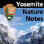 Yosemite Nature Notes