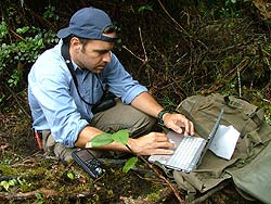 Image of man entering data into laptop in the woods