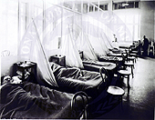 Fotografía en blanco y negro de filas de camas de hospital. Las camas están todas ocupadas y tiendas de gaza las separan.