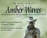 Amber Waves cover, April 2008