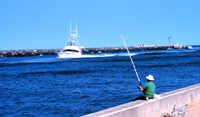 Fishing along seawall while headboat returns from a day's fishing offshore. 