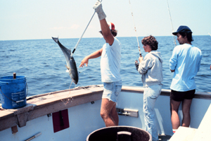 Fishing for blues in the Chesapeake Bay.