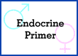Endocrine Primer