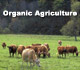 Organic Agriculture